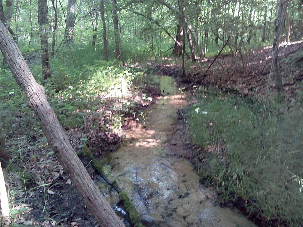 Woods Cross Roads, VA 23190,25+AC Millers Landing RD