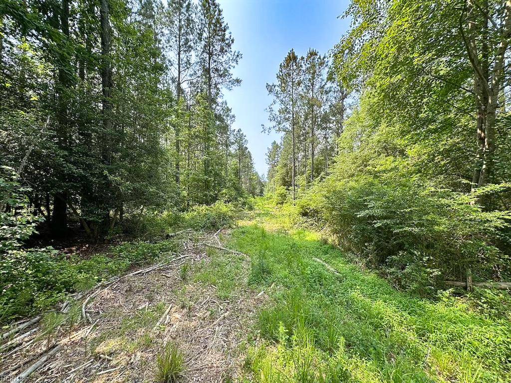 Jarratt, VA 23867,25+AC Lebanon Church RD