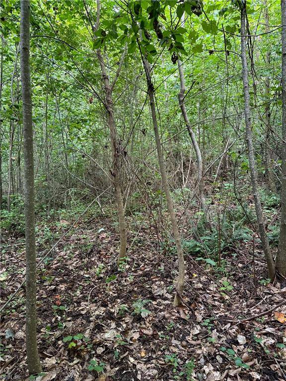 Gloucester, VA 23061,5.2ac Dutton RD