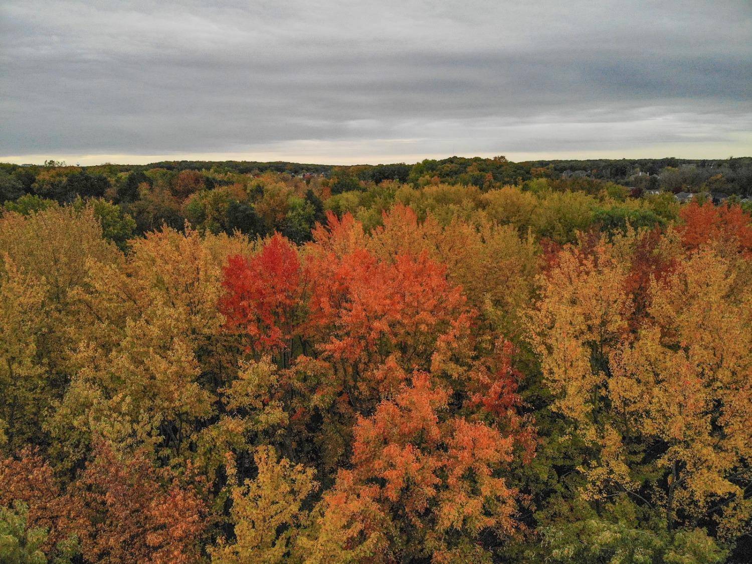 Crown Point, IN 46307,0-Lot 9 W South ST