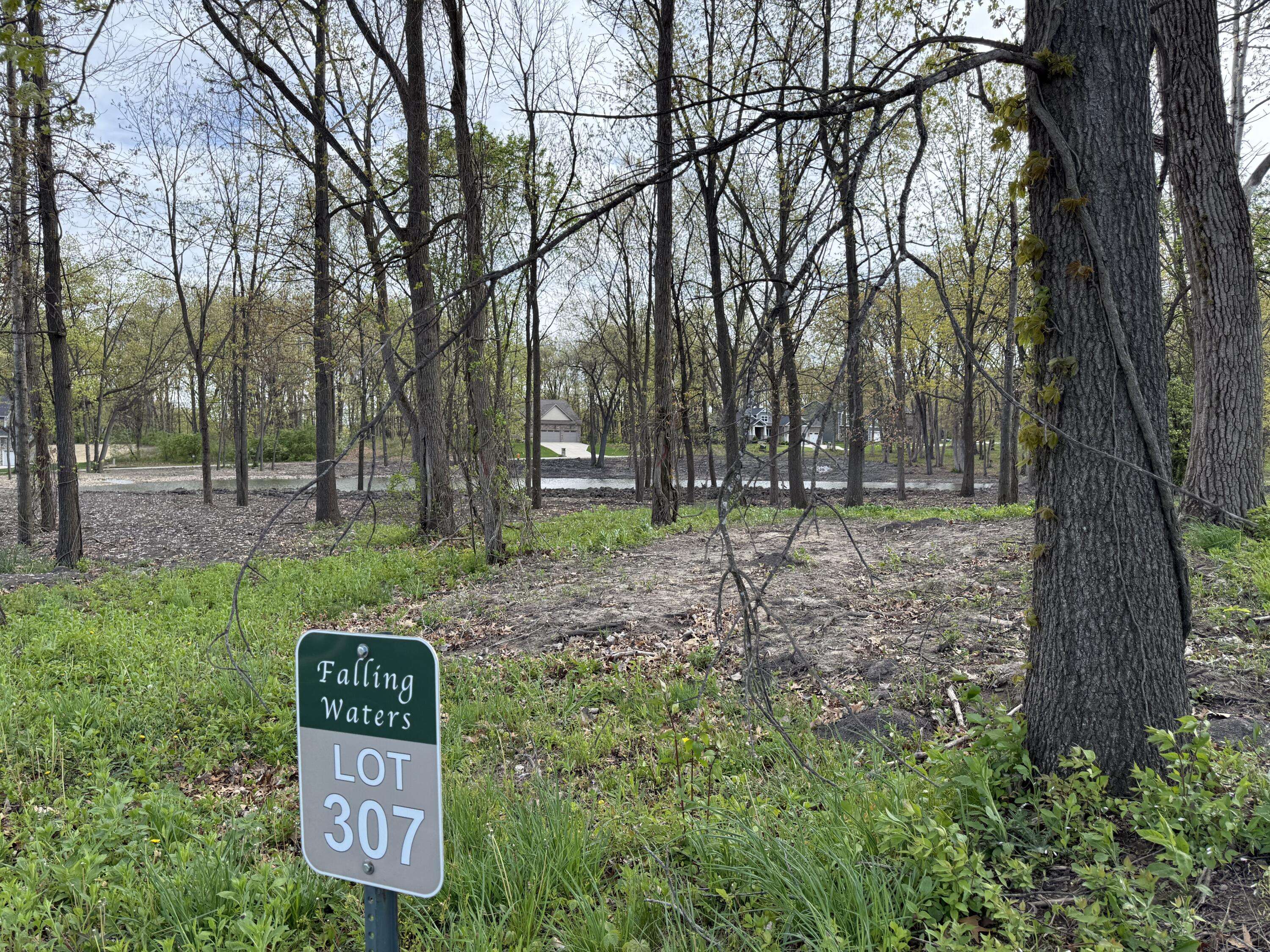 Crown Point, IN 46307,716 Verdano TER