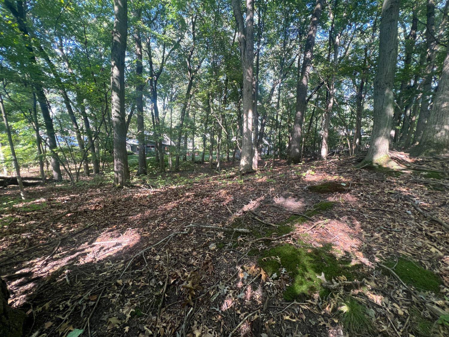 Michiana Shores, IN 46360,0 Sunset TRL