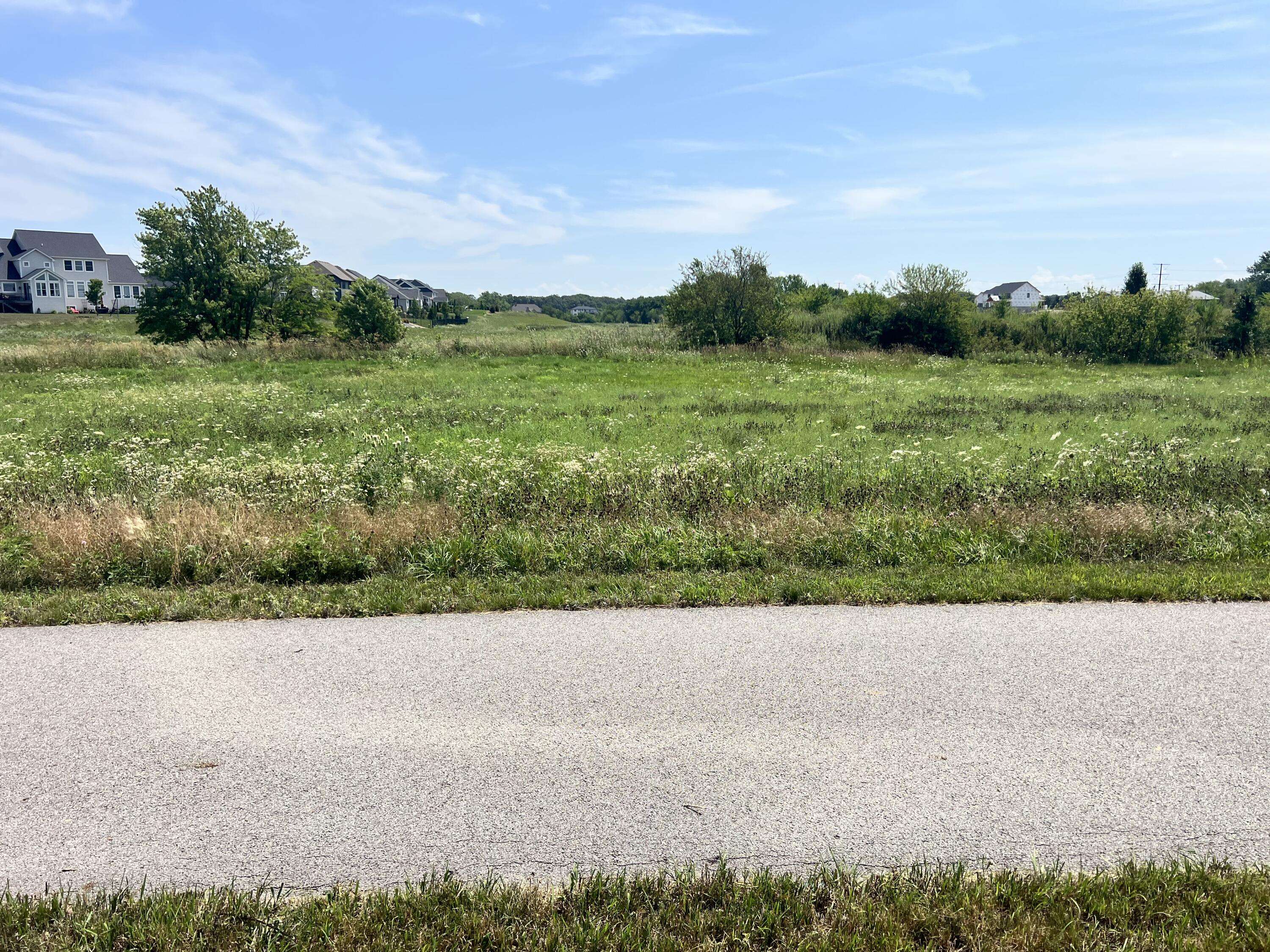 St. John, IN 46373,9955 Switch Grass LN