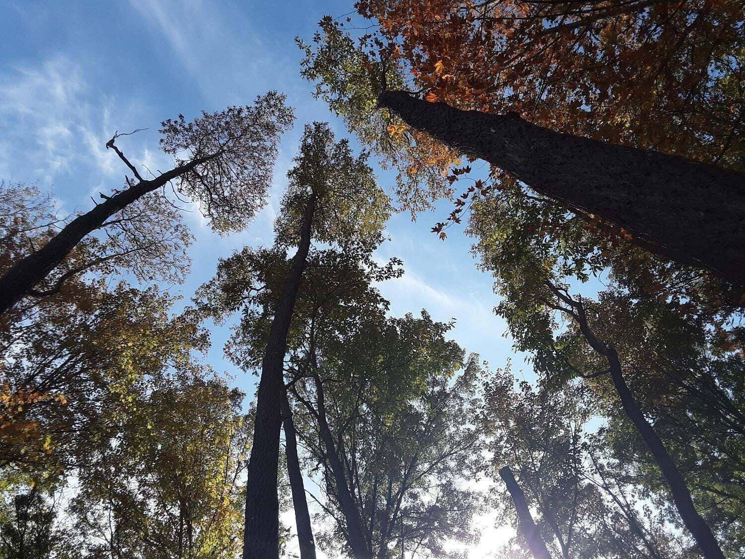 Michigan City, IN 46360,9 Blackberry TRL