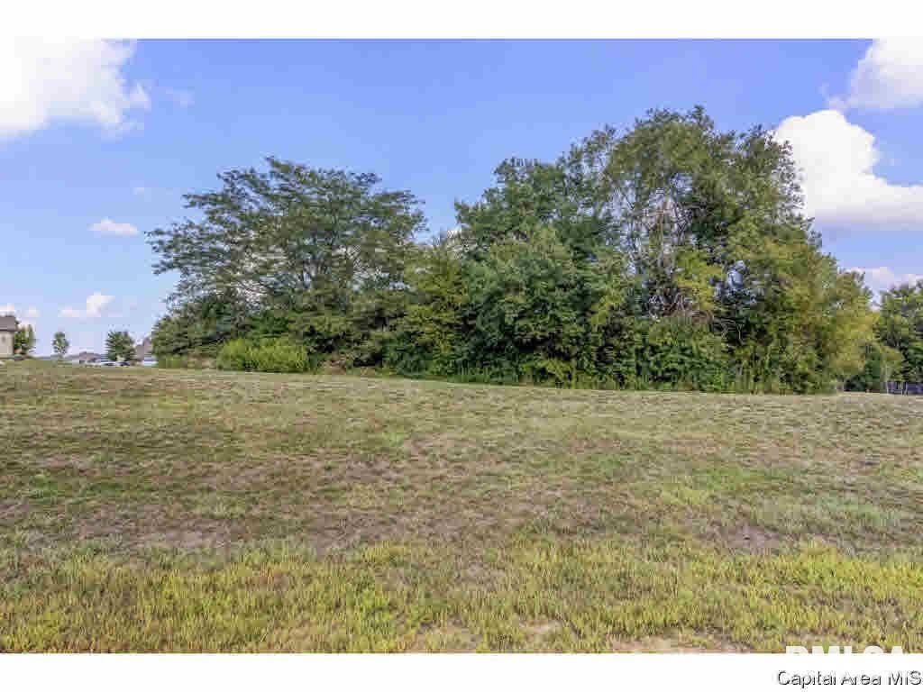 Chatham, IL 62629,318 RAMBLEWOOD RD