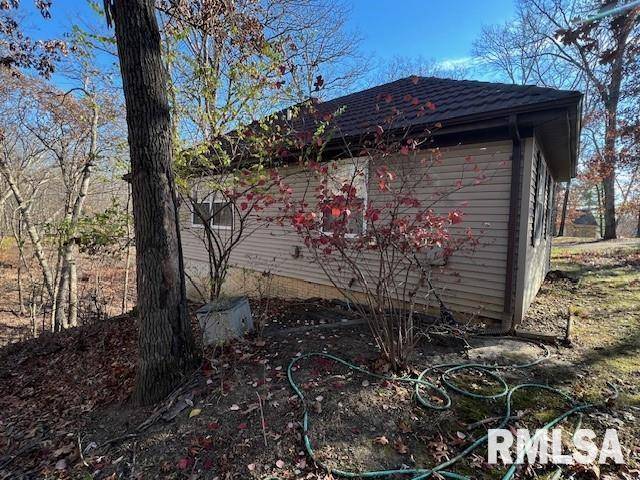 Dahinda, IL 61428-9742,92 OAKRIDGE CT