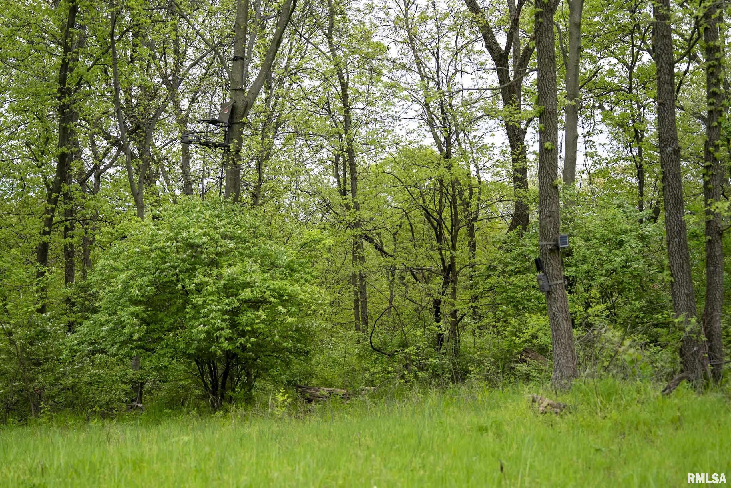 Pearl, IL 62361,000 Bee Creek RD