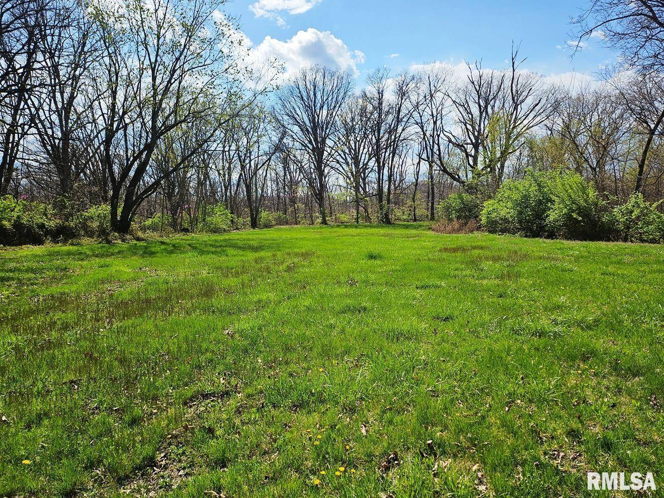 Plainview, IL 62685,13973 Halliday RD
