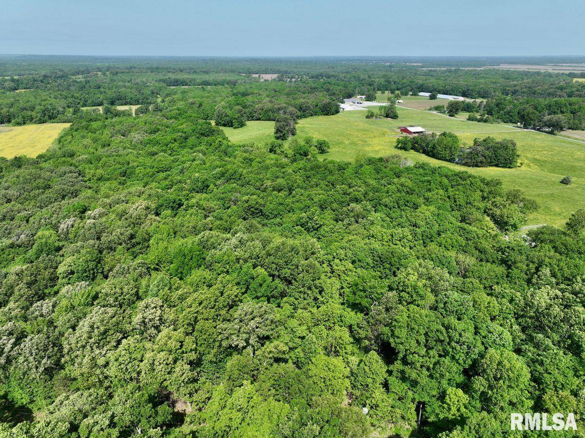 Stonefort, IL 62987,000 Robinson Hill RD