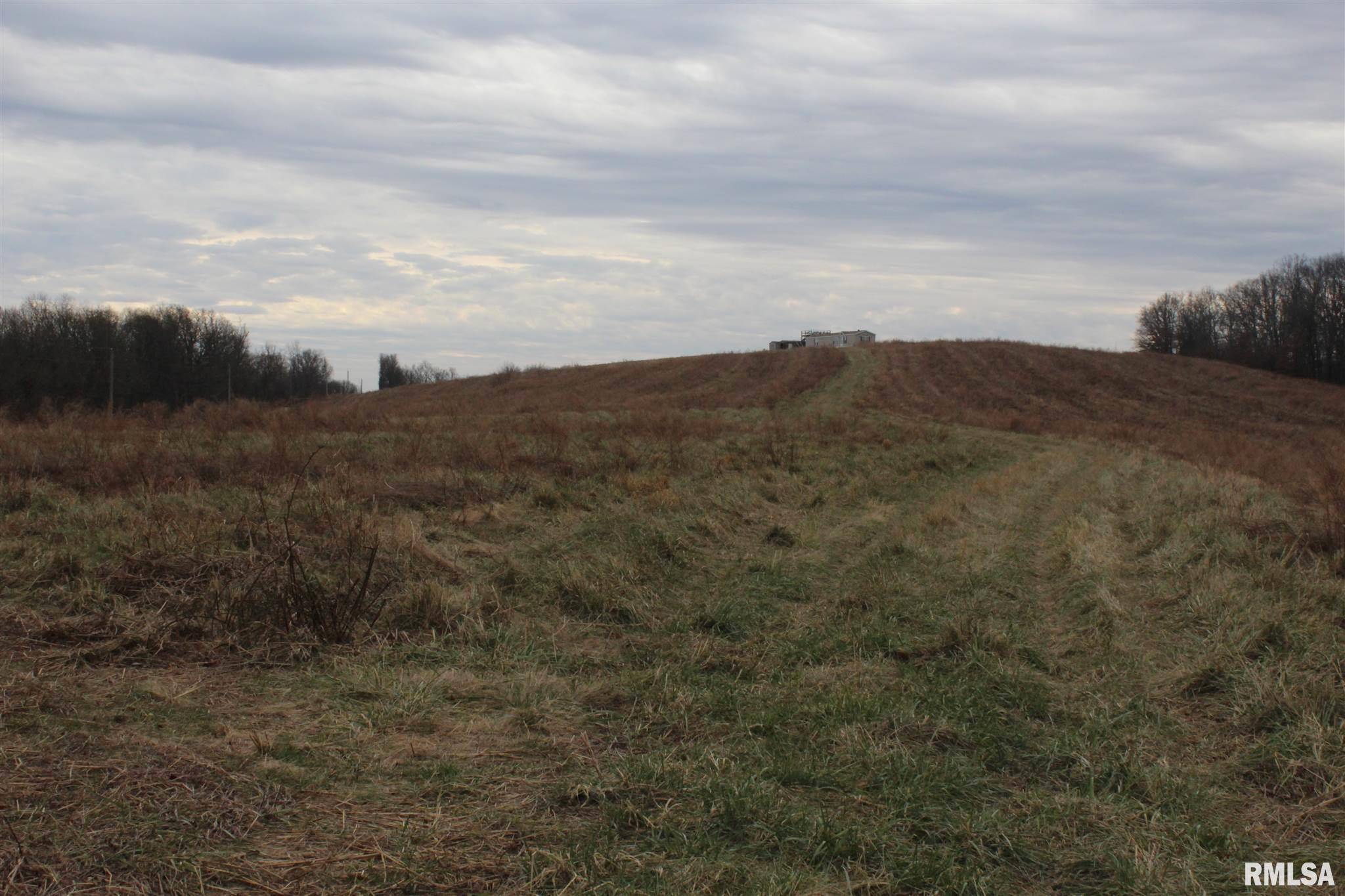 Herod, IL 62947,0000 Bruce Johnson RD