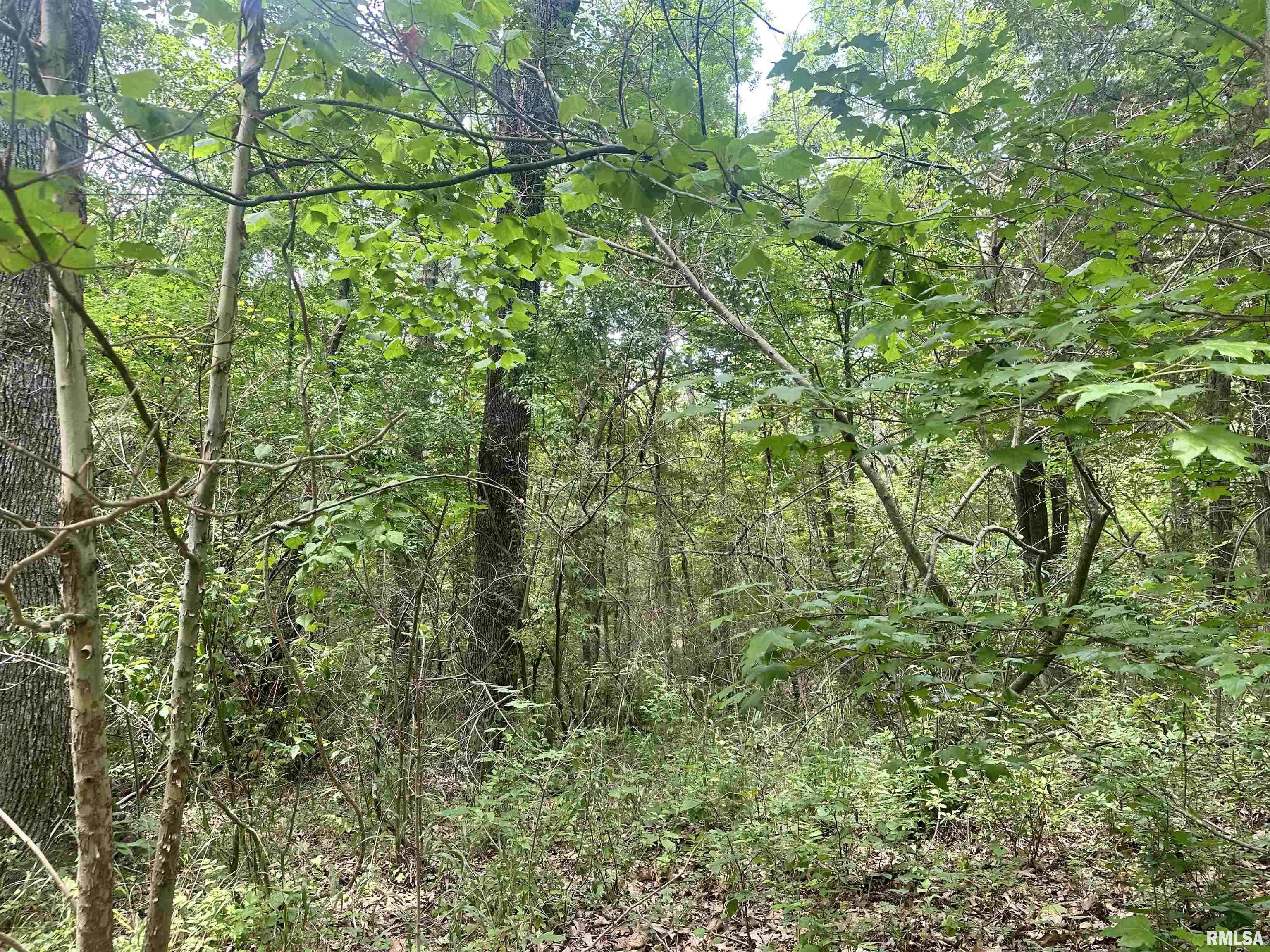 Carbondale, IL 62903,000 Knob Creek RD