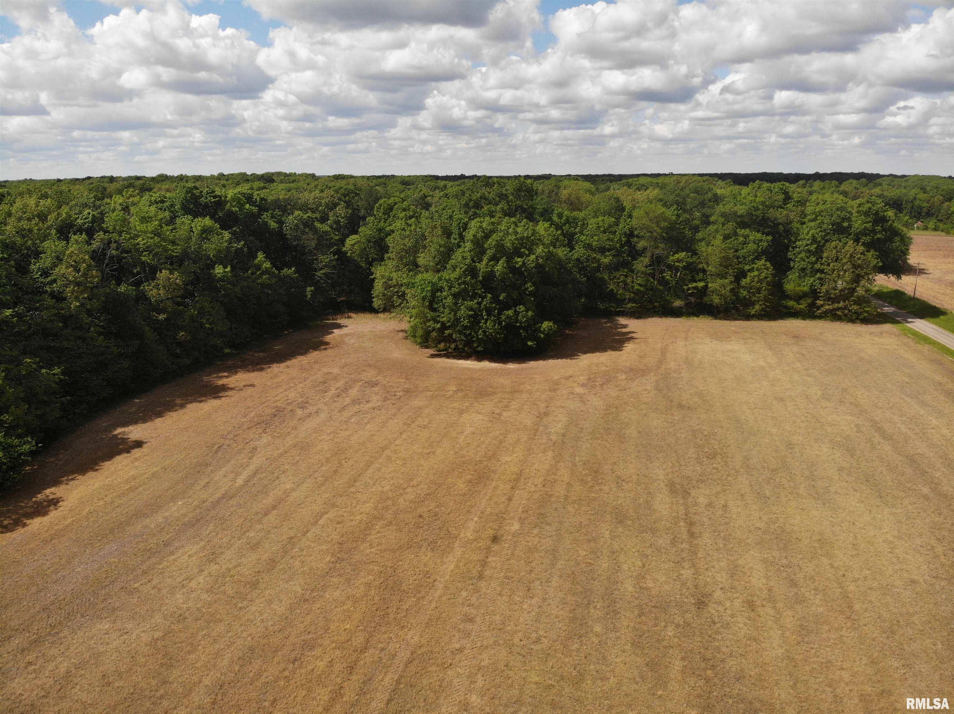 Farina, IL 62838,000 RAVEN RD