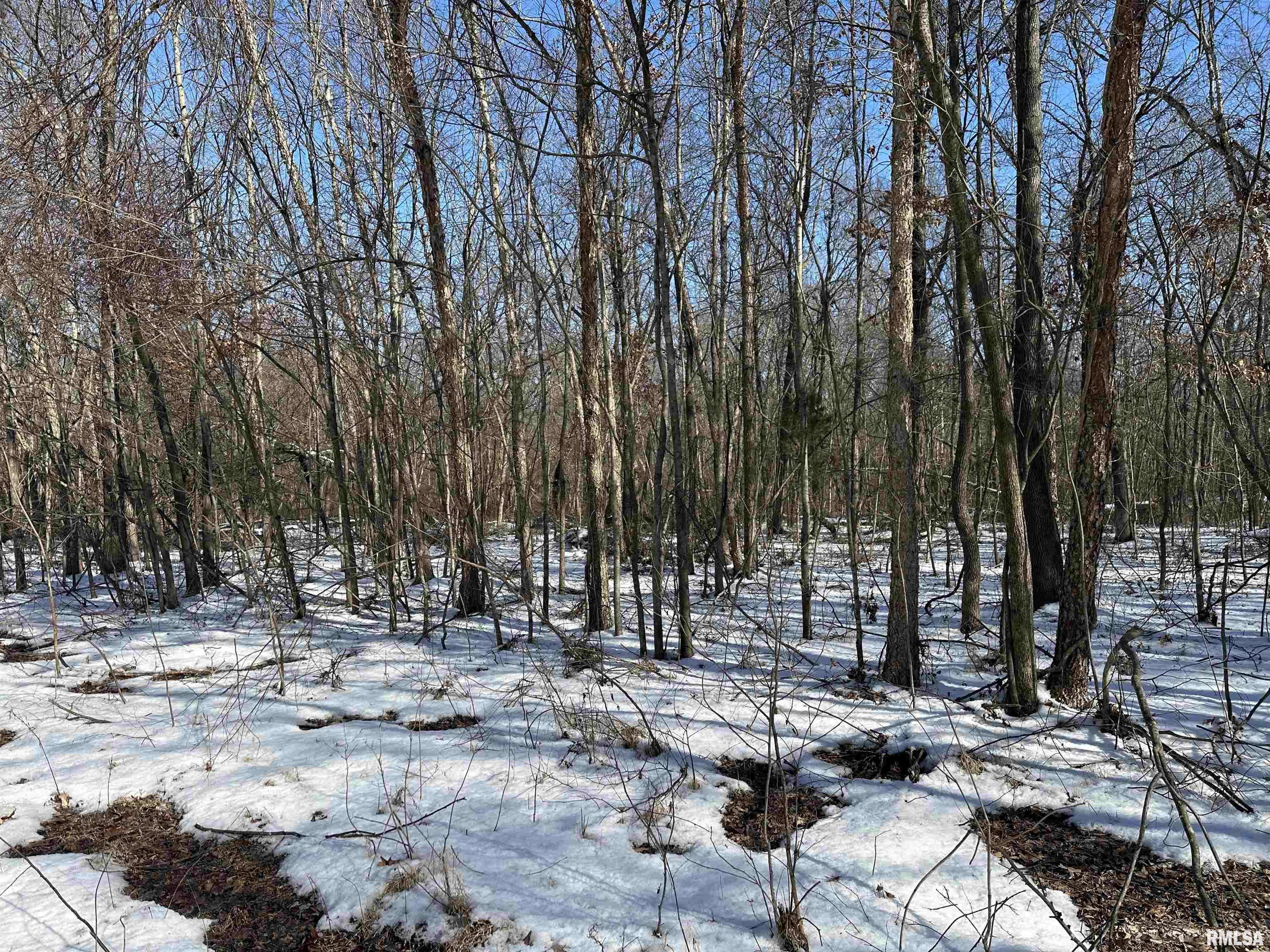 West Frankfort, IL 62896,000 WALL RD