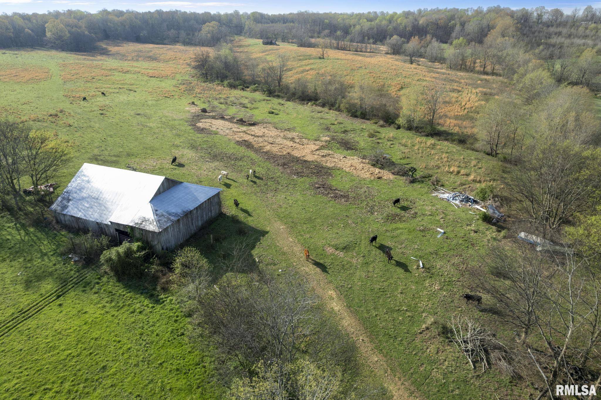 Brookport, IL 62910,60 HARRIS LN