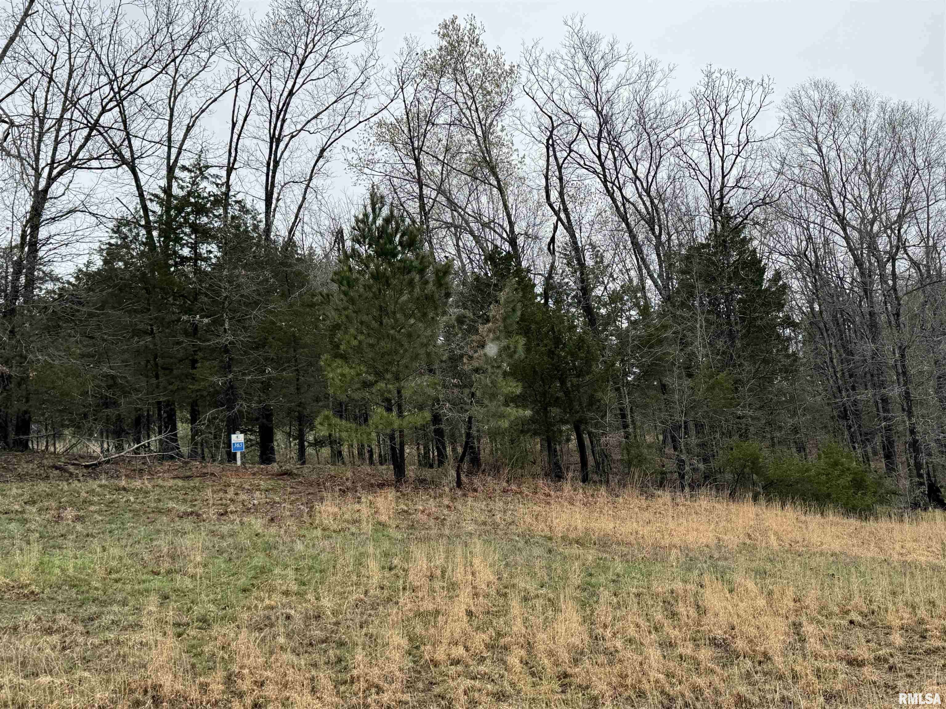 Goreville, IL 62939,LOT 365&366 Clifty LN