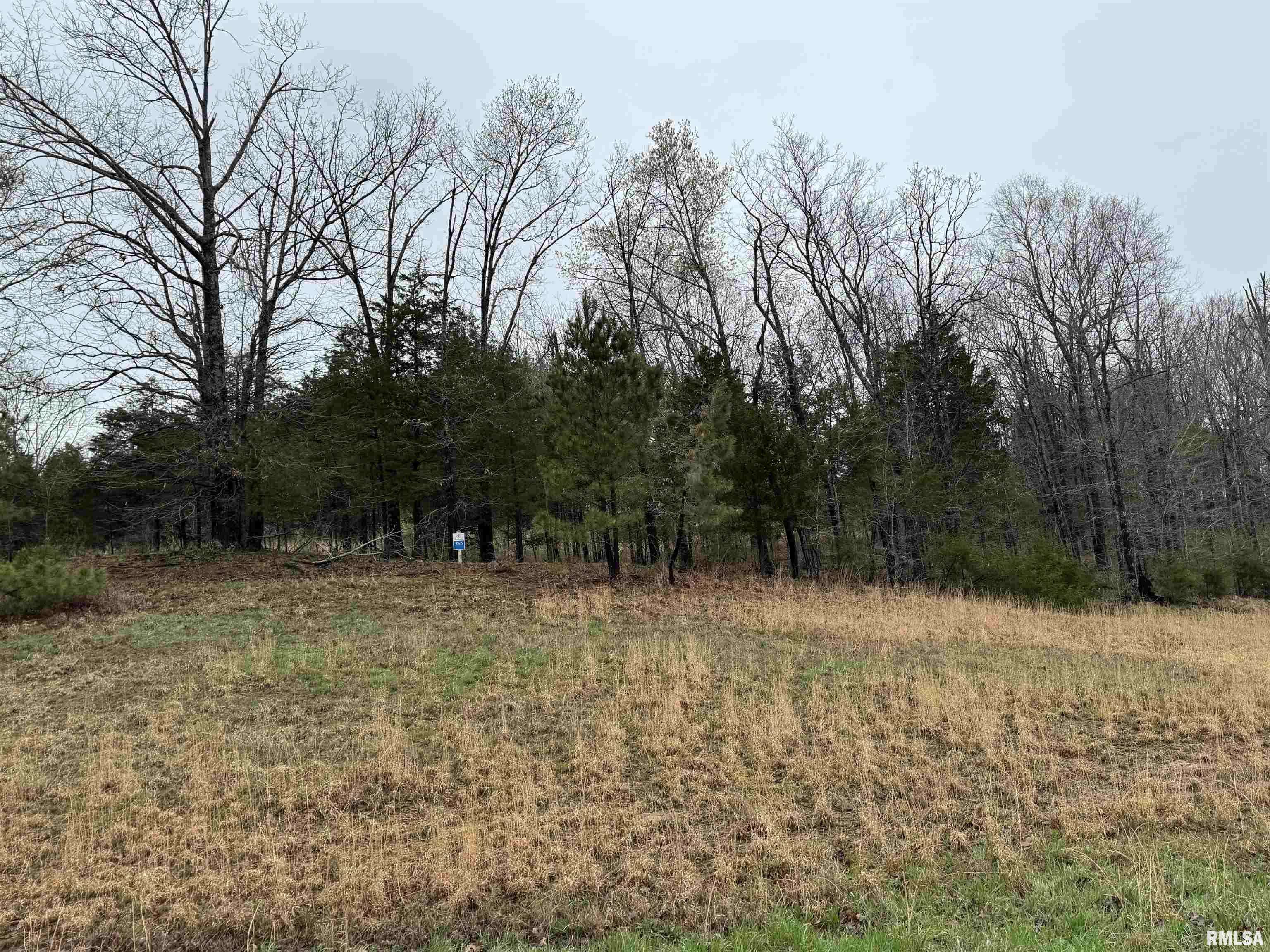 Goreville, IL 62939,LOT 365&366 Clifty LN