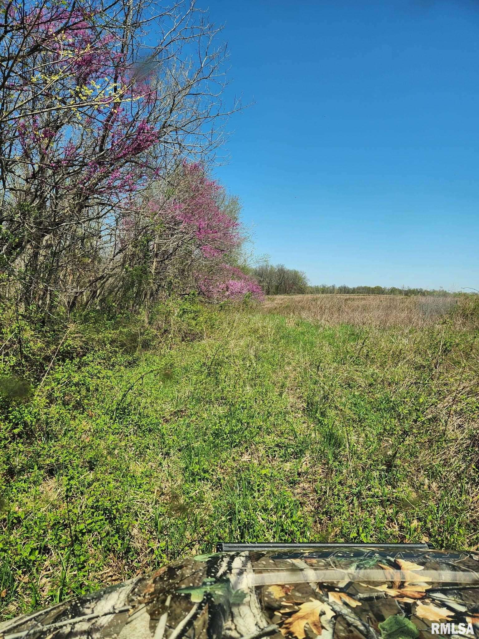 Scheller, IL 62883,0000 N FLAMINGO LN