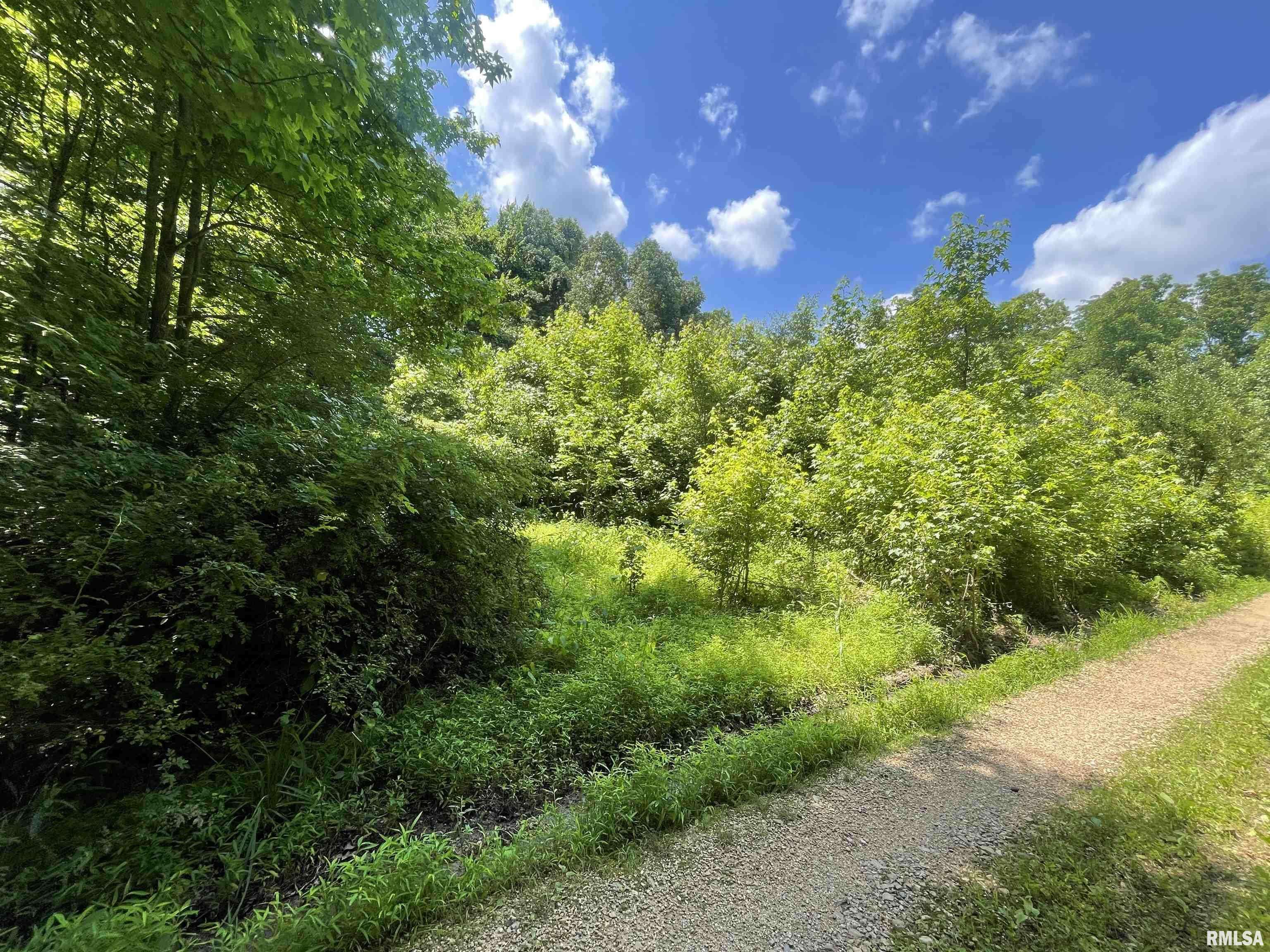 Murphysboro, IL 62966,5 W River Rock RD