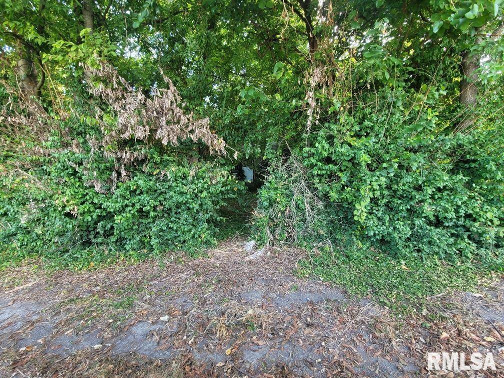 Harrisburg, IL 62946,1116 S HOLLAND ST