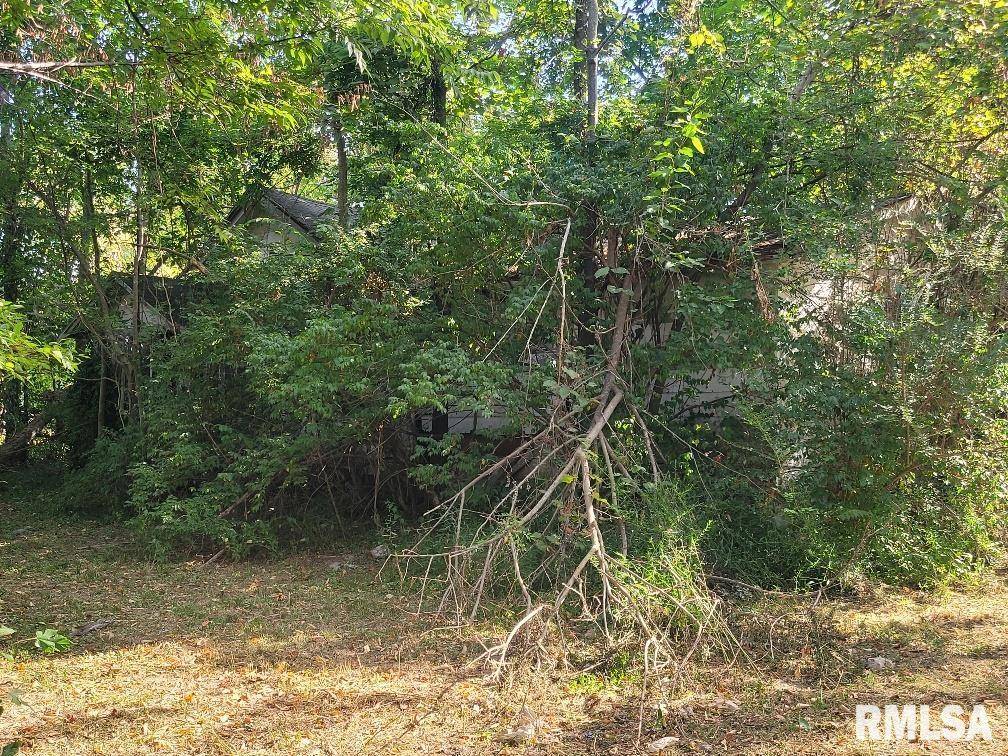 Harrisburg, IL 62946,1116 S HOLLAND ST