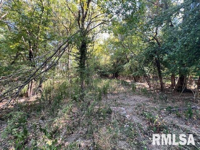 Carterville, IL 62918,000 Barnett ST