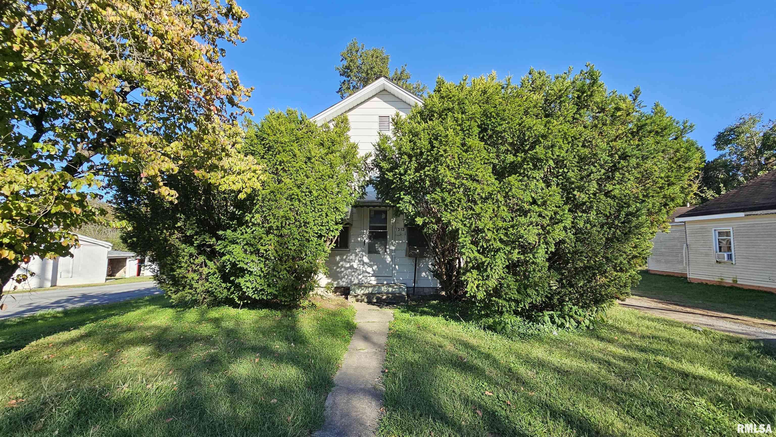 Johnston City, IL 62951,1313 N NEWTON AVE