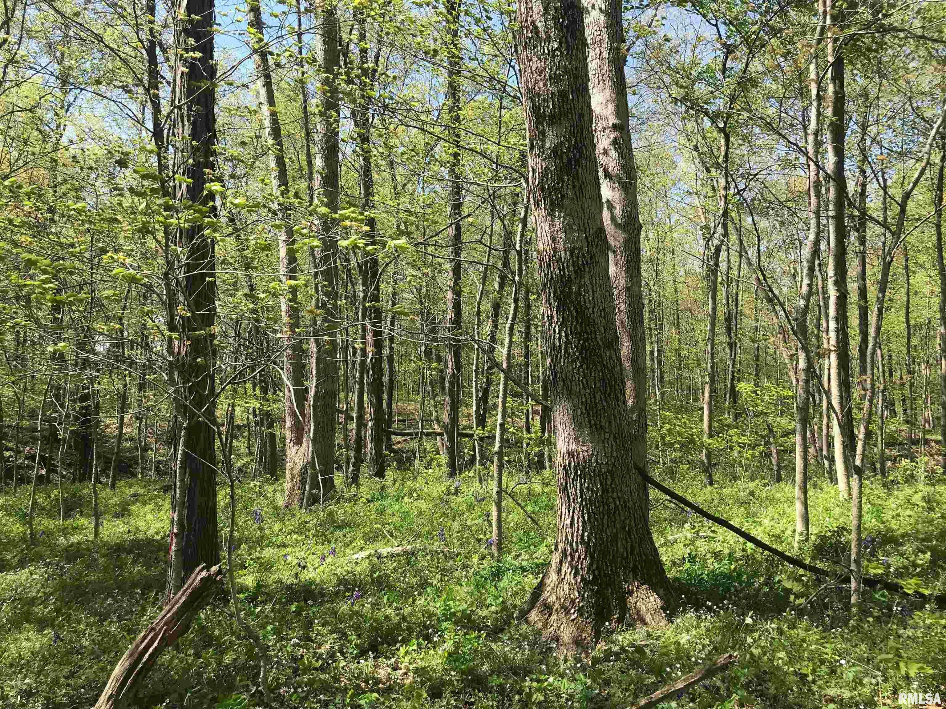 Dieterich, IL 62424,000 N 1900th ST