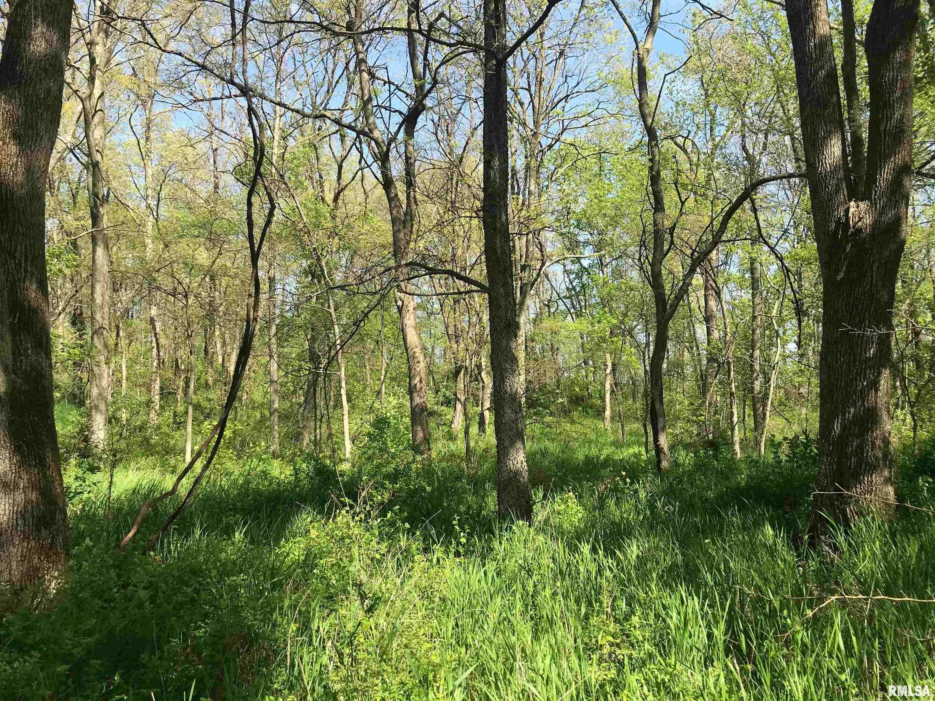 Dieterich, IL 62424,000 N 1900th ST