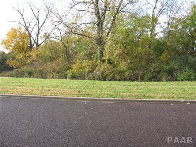 Edwards, IL 61528,Lot 2 SCHMITT LN