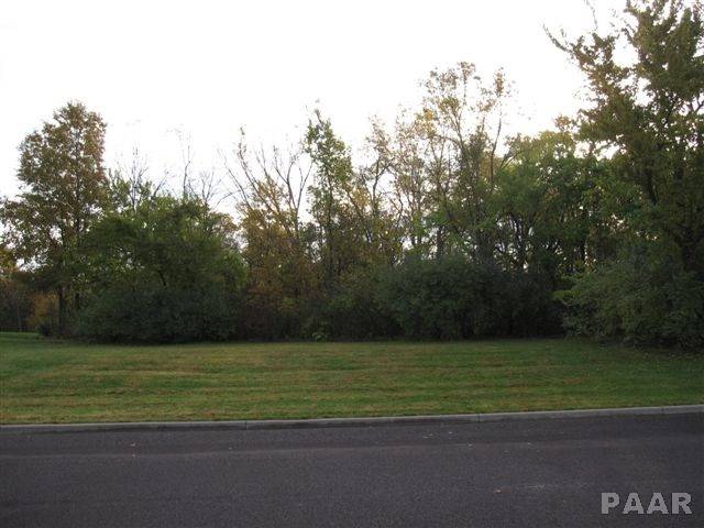 Edwards, IL 61528,Lot 9 GRACE LN