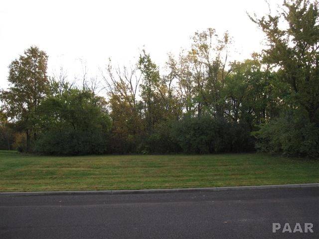 Edwards, IL 61528,Lot 25 SCHMITT LN