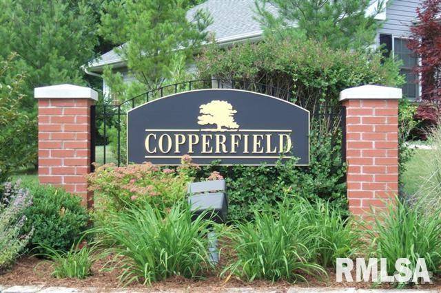 Dunlap, IL 61525,LOT 208 COPPERPOINT DR