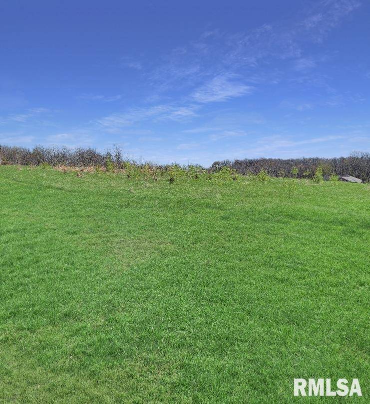 Princeville, IL 61559,0 - LOT 7 TOWN AVE