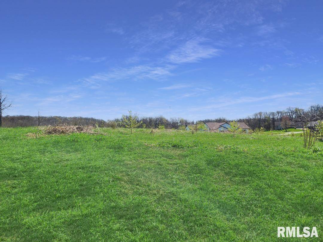 Princeville, IL 61559,0 - LOT 7 TOWN AVE
