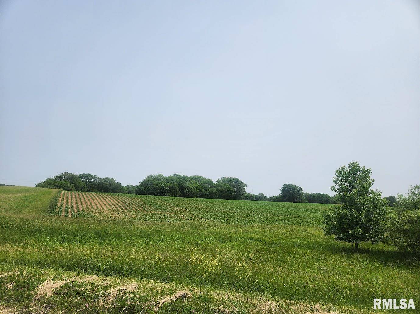 Princeville, IL 61559,15624 N MENDENHALL RD