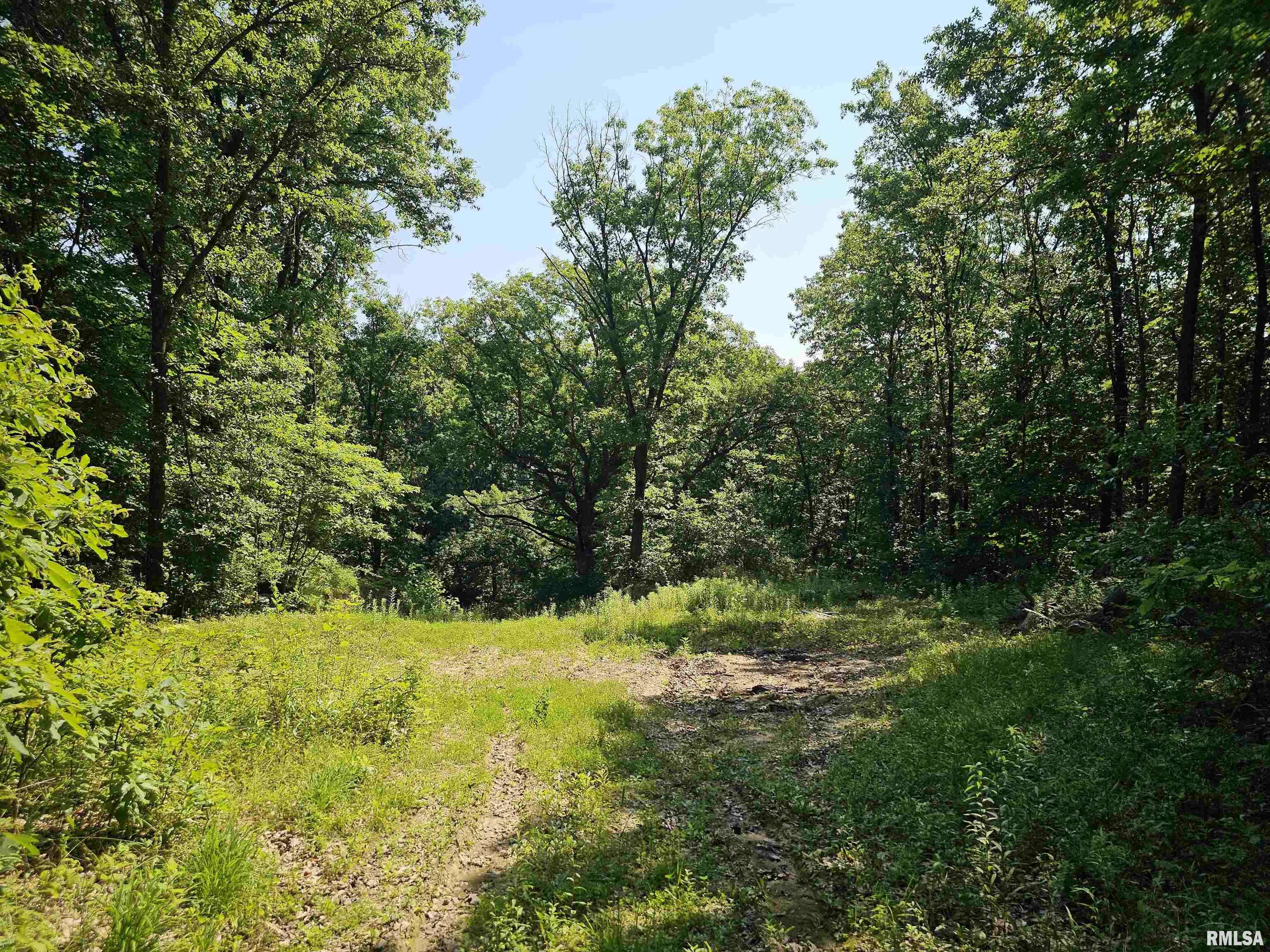 Peoria, IL 61615,2116 N Prichard RD