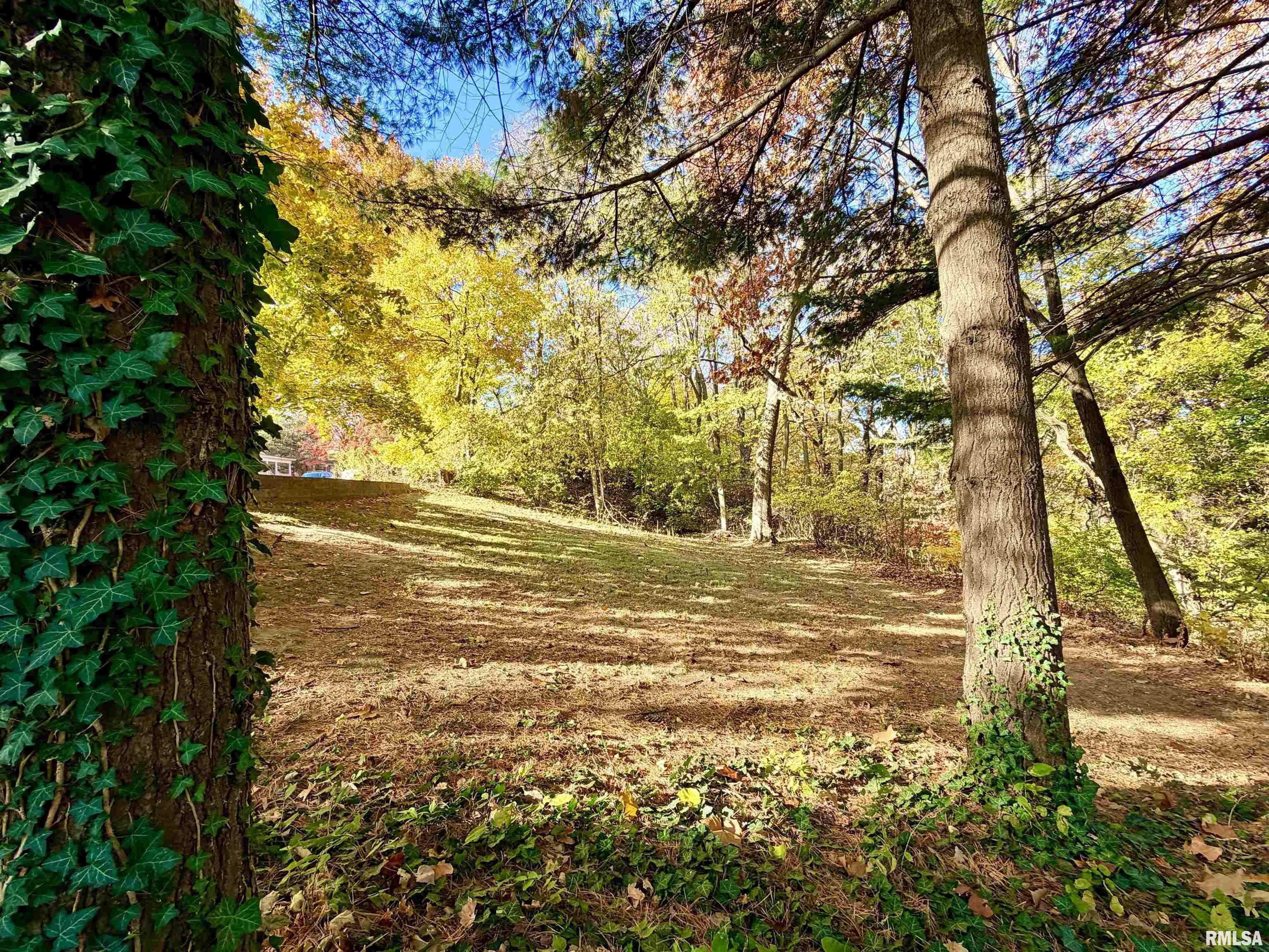 Peoria, IL 61606,1607 W PARKSIDE DR