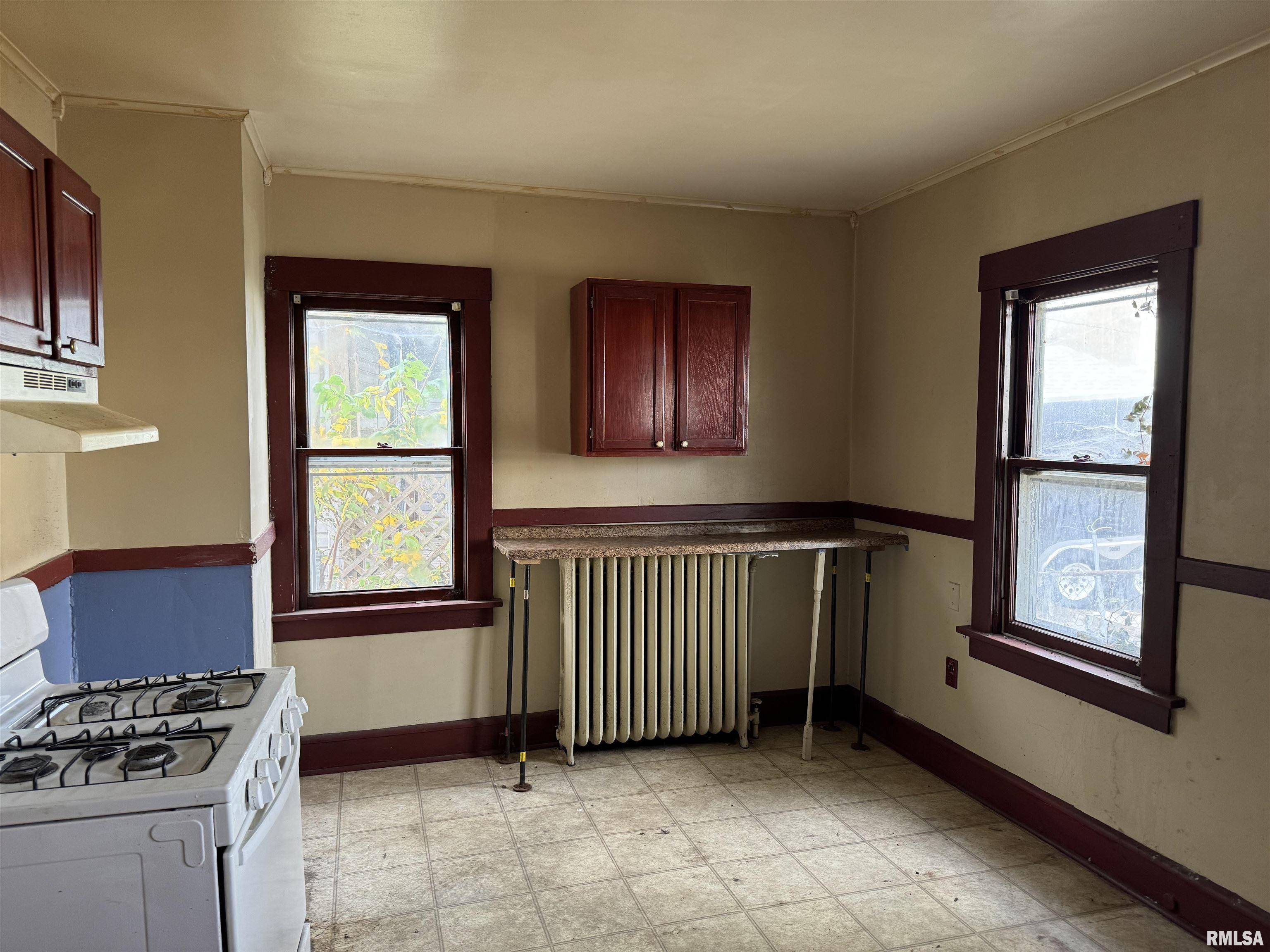 Davenport, IA 52802,223 S LINCOLN AVE