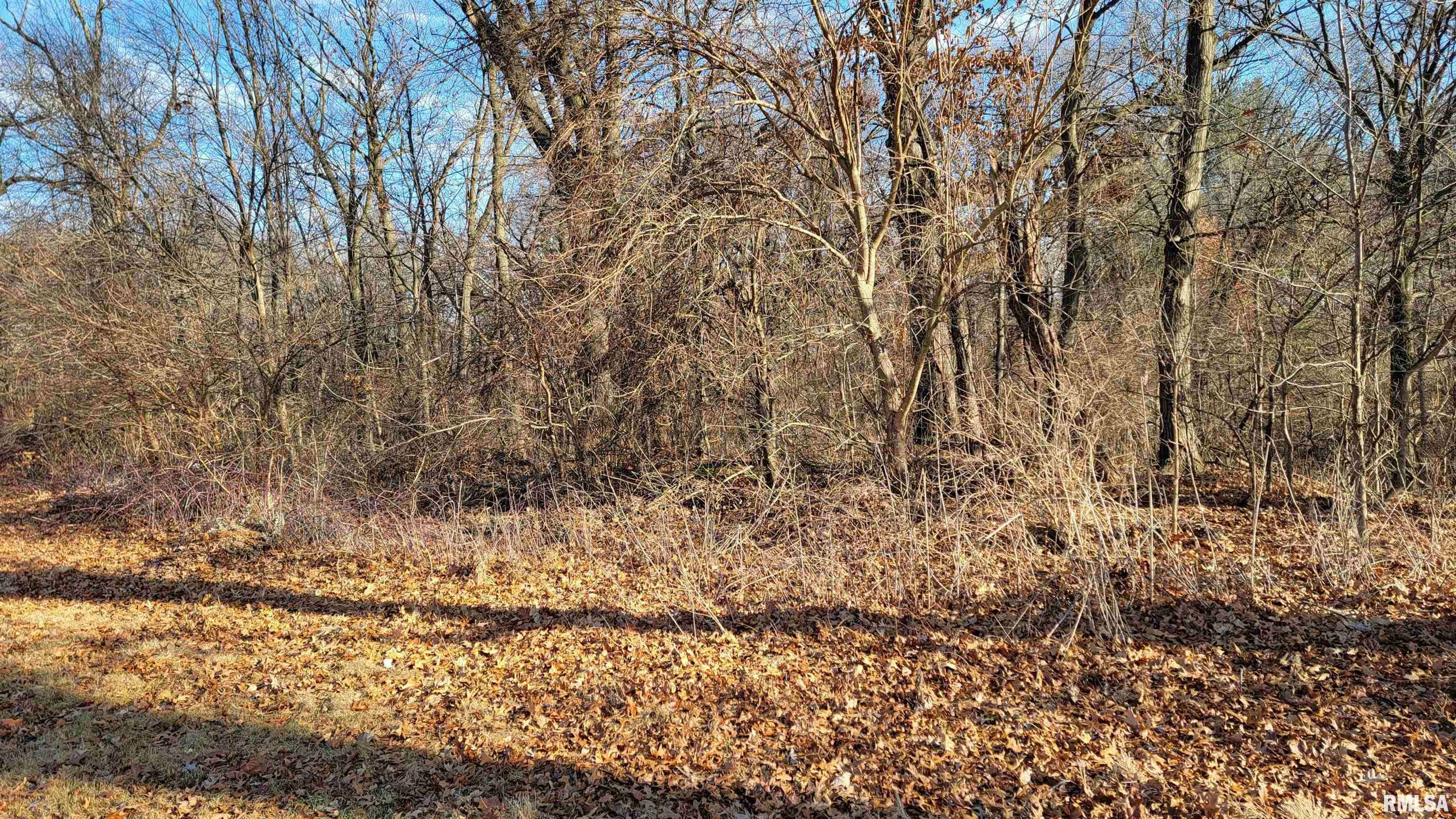 Coal Valley, IL 61240,4 BAY HILL DR