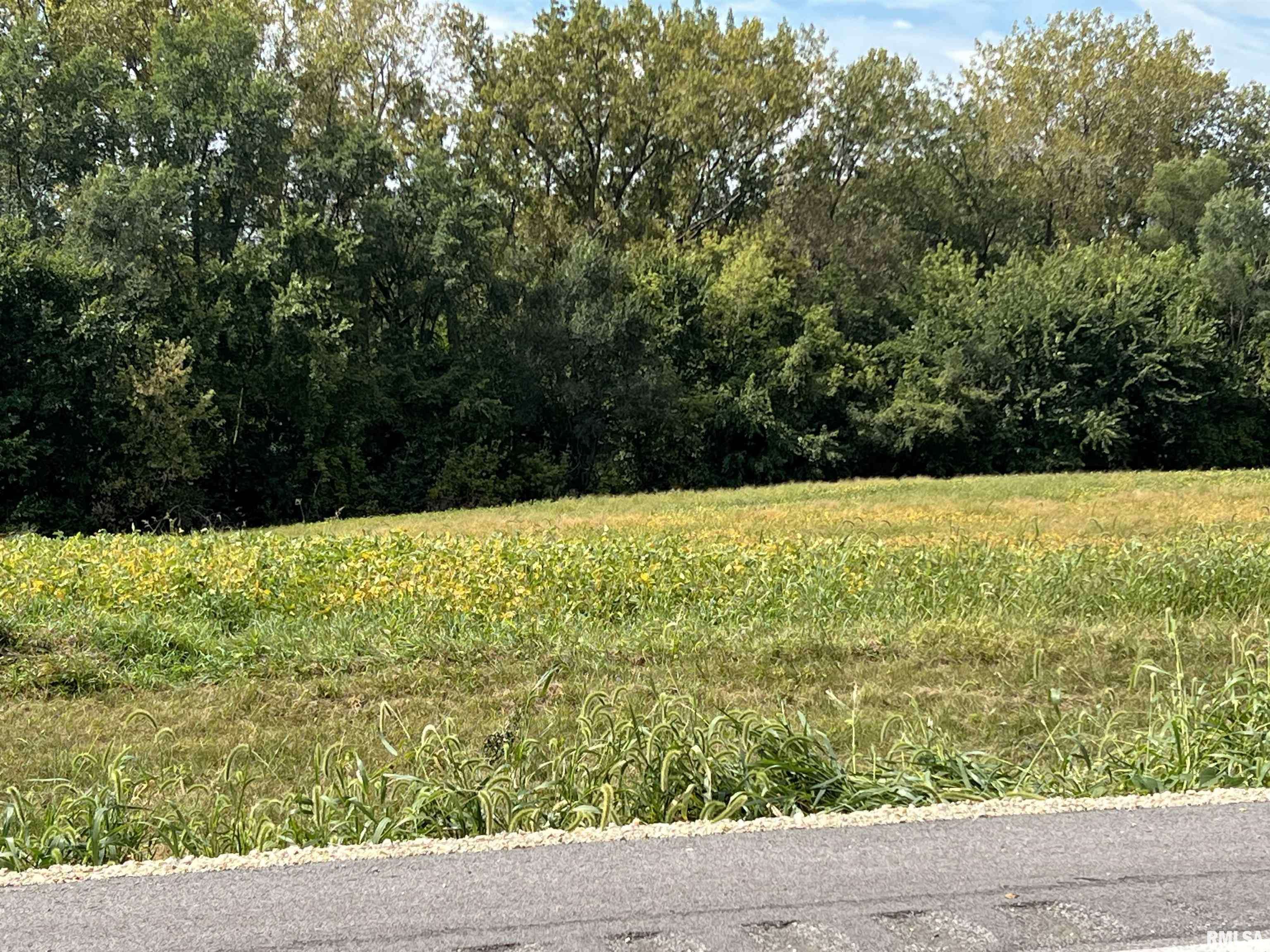 Pleasant Valley, IA 52767,00 WELLS FERRY RD