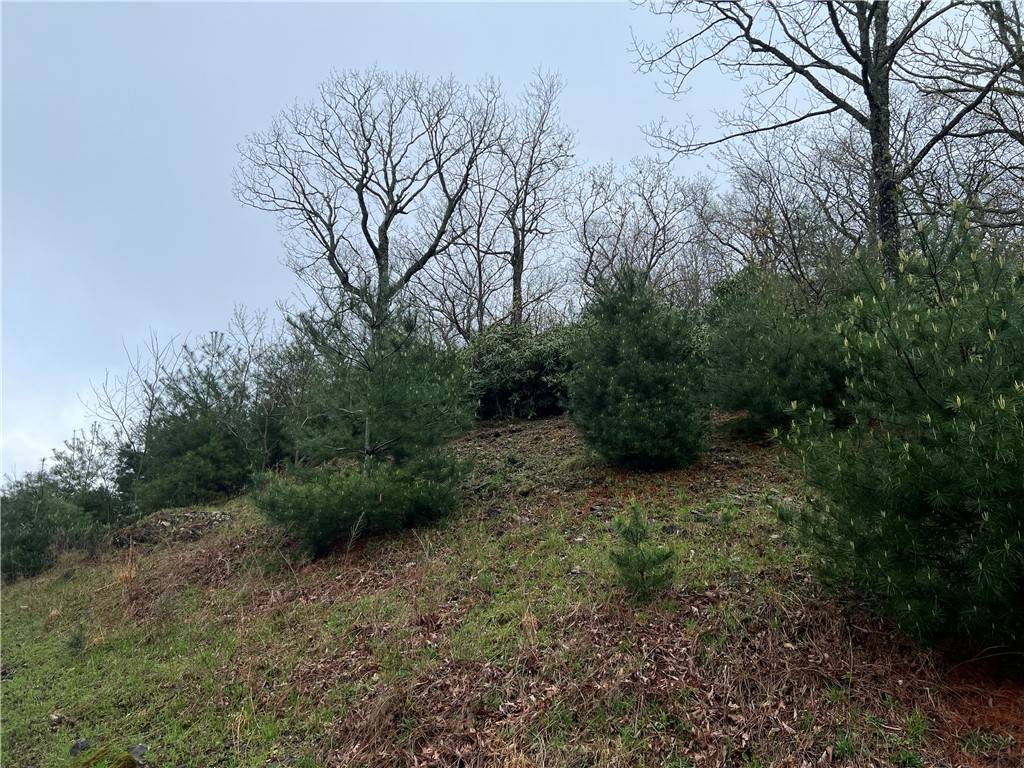 Blowing Rock, NC 28605,Lot 12 Cielo RD