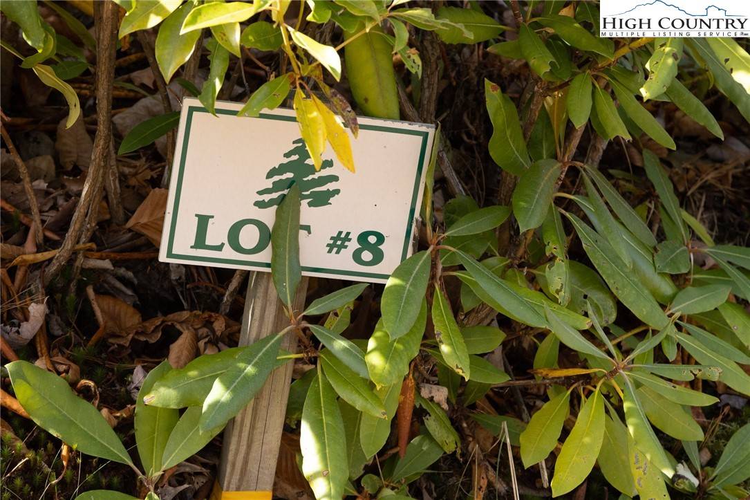 Todd, NC 28684,TBD Lot 8 Solitude LN