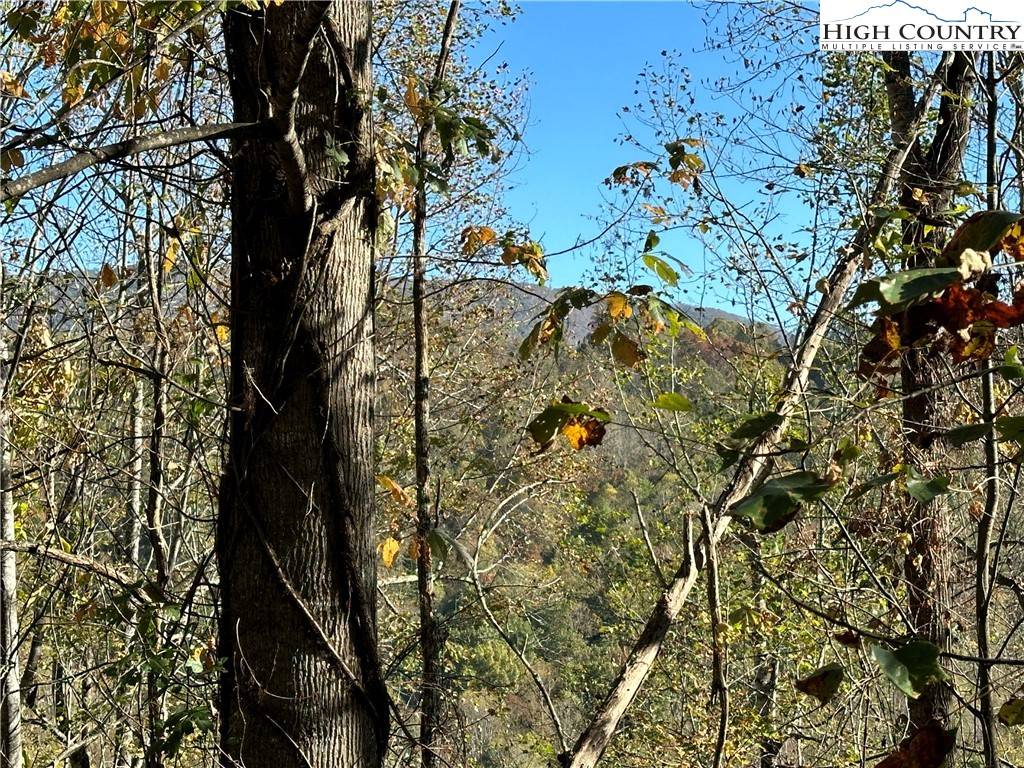 Boone, NC 28607,Lot 2 Boulder Ridge DR