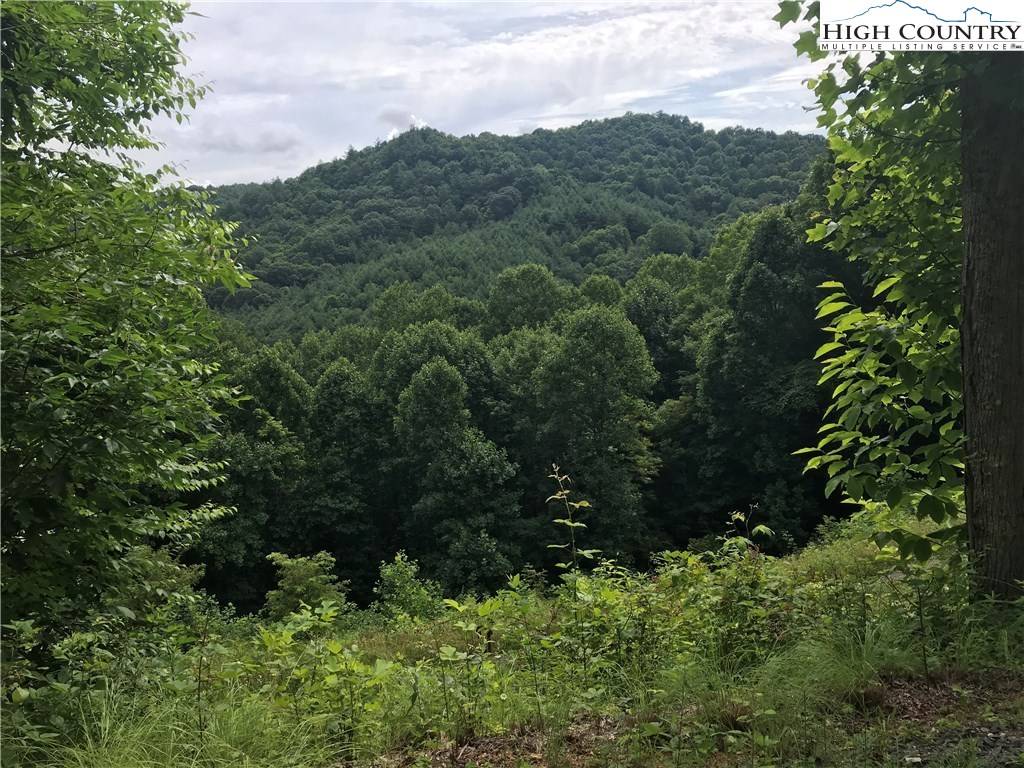Lansing, NC 28643,2195 S Big Horse Creek RD