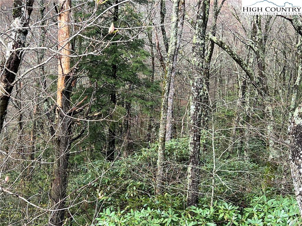 Blowing Rock, NC 28605,Lot 17 Cielo RD