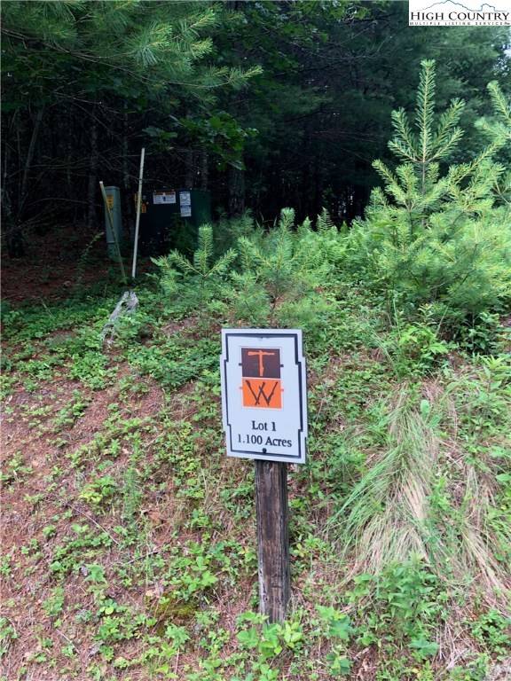 Laurel Springs, NC 28644,TBD (Lot 1) Timberwilde CT