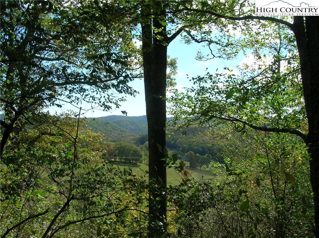 Blowing Rock, NC 28605,TBD Golden Ridge RD