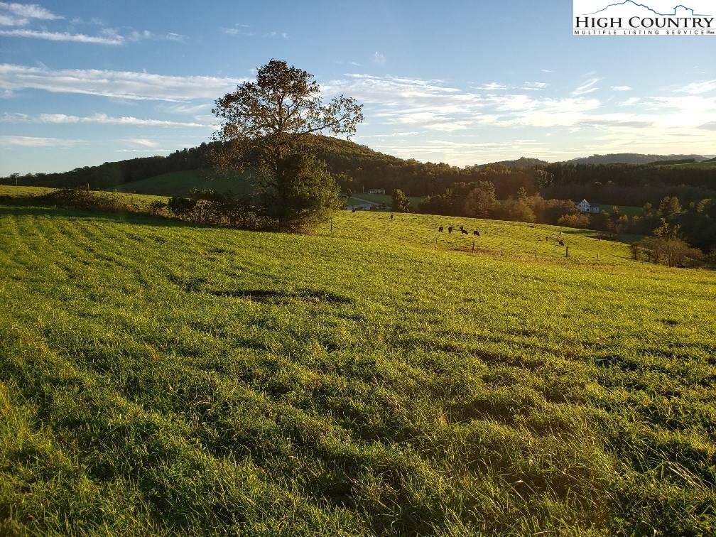 Ennice, NC 28623,TBD Crestview Mountain DR