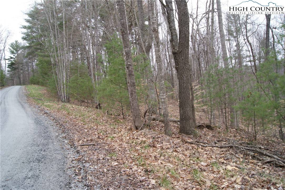 Sparta, NC 28675,Lot 75 Forest Hill DR