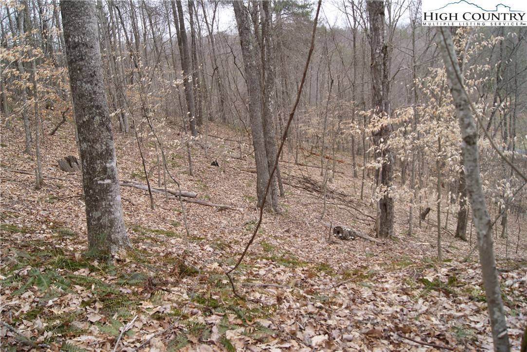 Sparta, NC 28675,Lot 75 Forest Hill DR